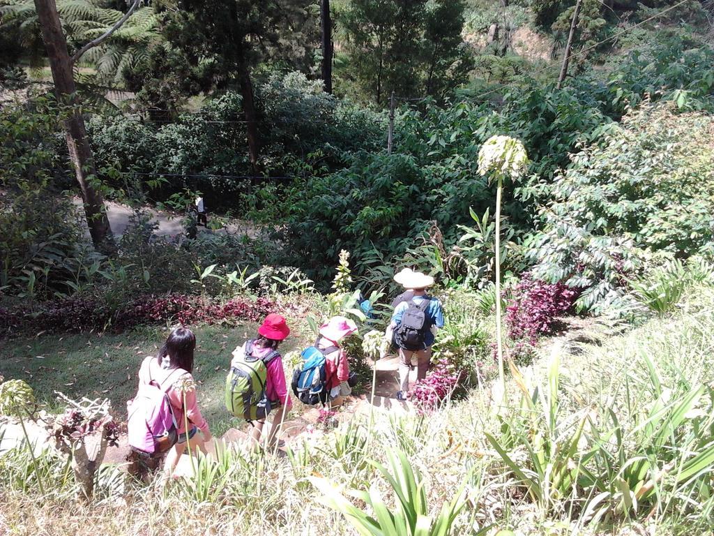Park View Guest House Nuwara Eliya Exterior foto